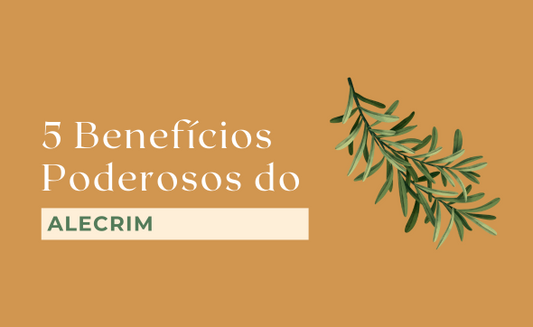 5 Benefícios Poderosos do Alecrim