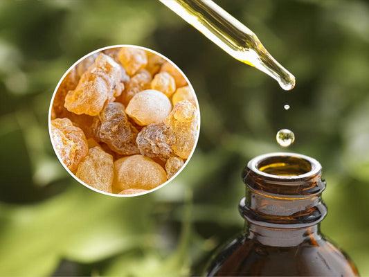 Óleo Essencial Frankincense Incenso e Olibano da Miristica